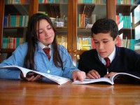 /album/fotogaleria-inicio/insaltalu-jpg1/